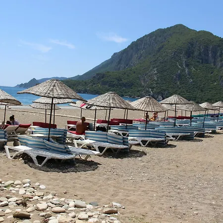Zambak * Cirali